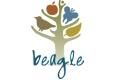 Ikona článku Sledujte fenologické fázy stromov a staňte sa BEAGLE školou!