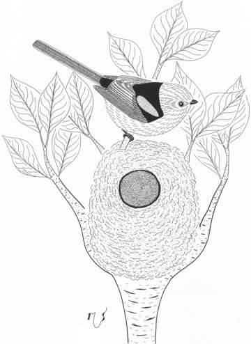 Ilustrácia mlynárky na hniezde