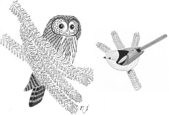 Ilustrácia sovy a mlynárky